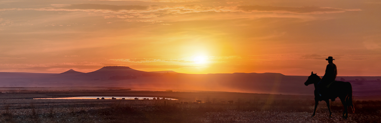 silhouette of a cowboy or woman on a horse against a bright orange sunset in the plains